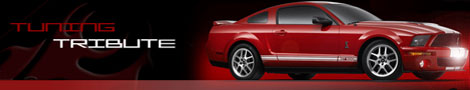 tuning tribute